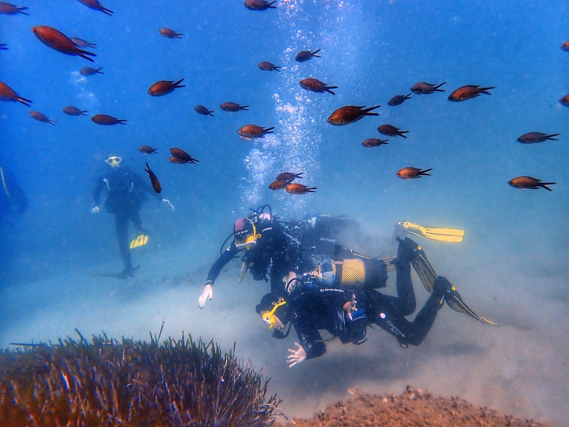 Imagen de la actividad Buceo en L'Hospitalet de l'Infant